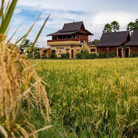 Barong Bali Villas Ubud Buitenkant foto