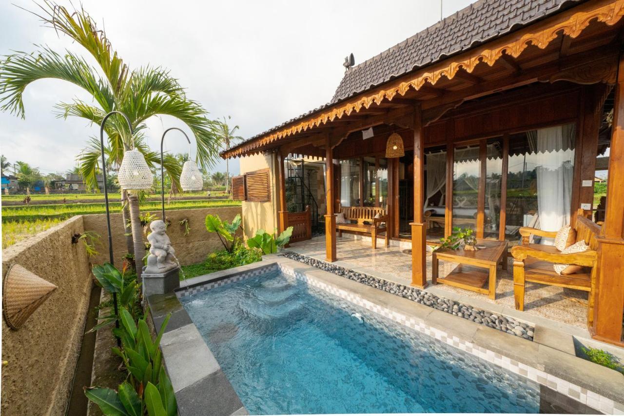 Barong Bali Villas Ubud Buitenkant foto