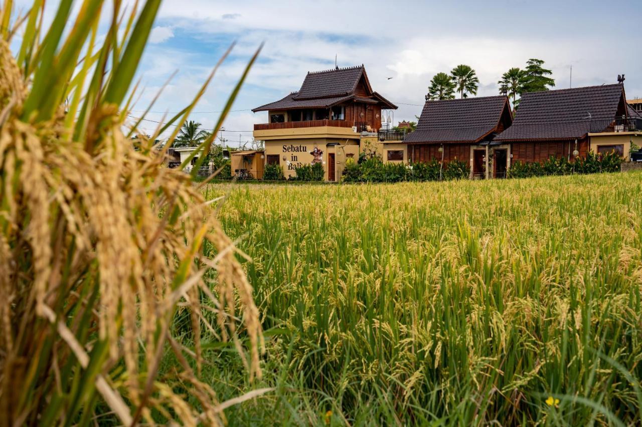 Barong Bali Villas Ubud Buitenkant foto