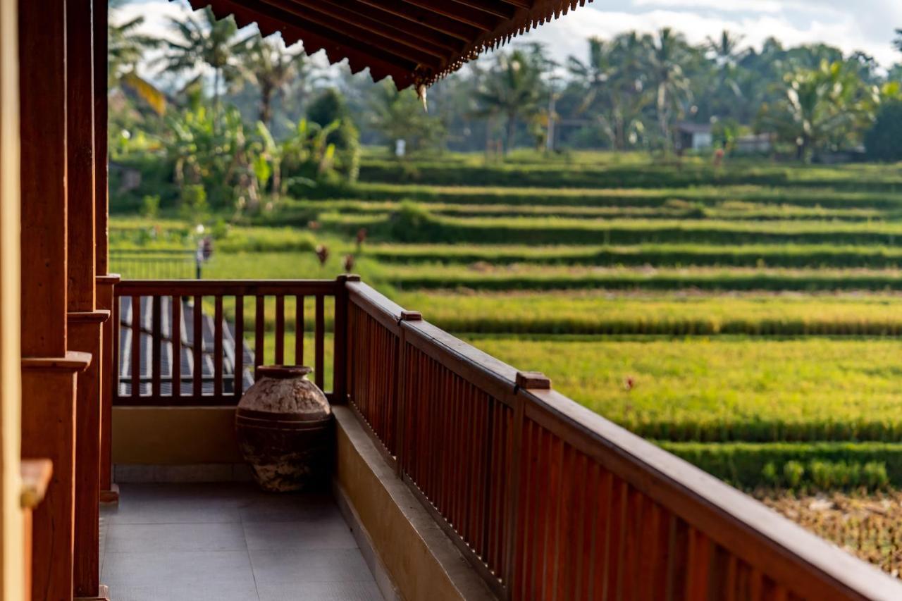 Barong Bali Villas Ubud Buitenkant foto