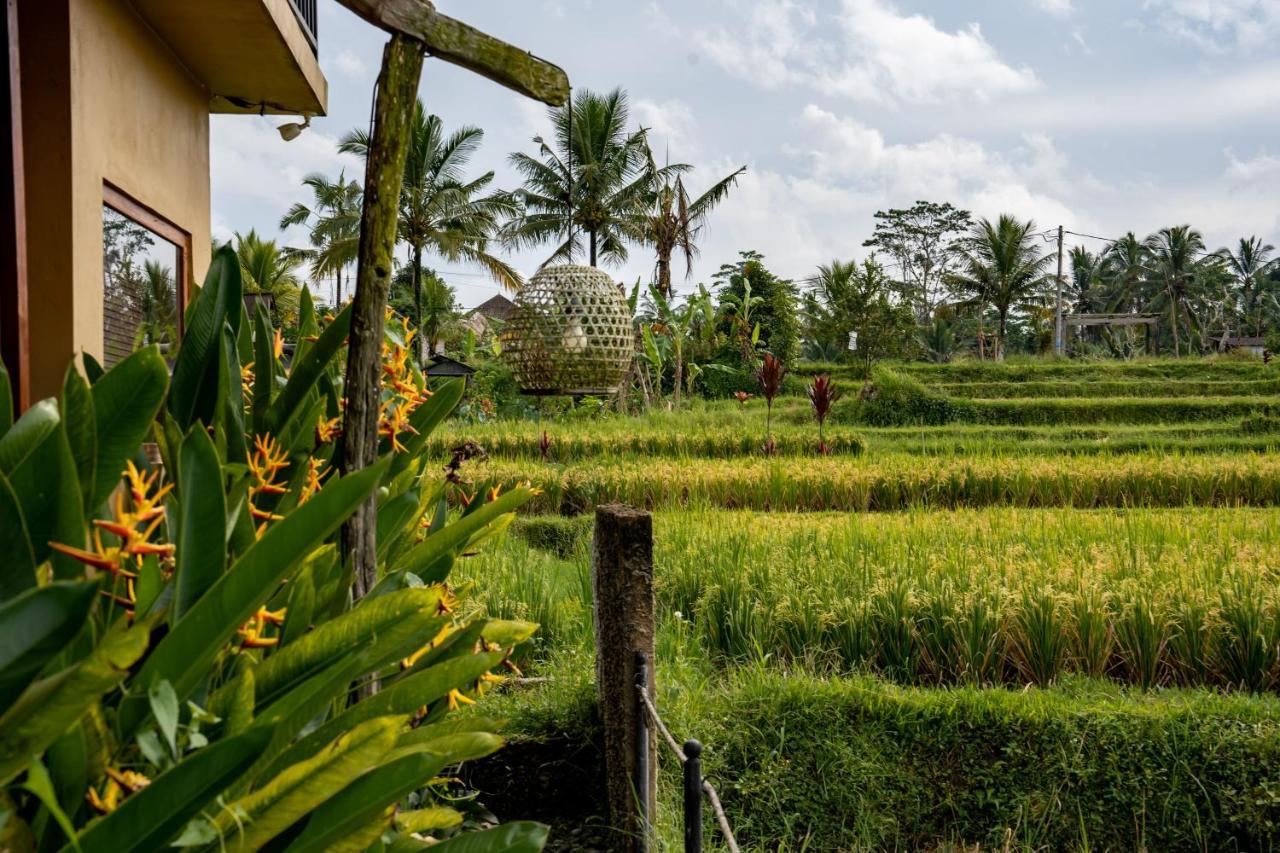 Barong Bali Villas Ubud Buitenkant foto